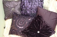 Purple Collection
